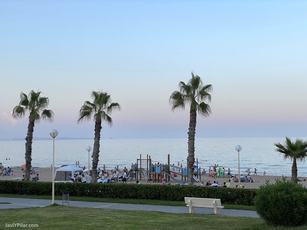 Alicante verano 2021 playa palmeras